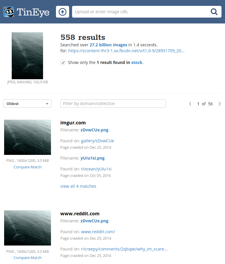 Screenshot from the TinEye website - showing the image around the web.